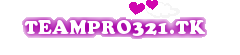 teampro321